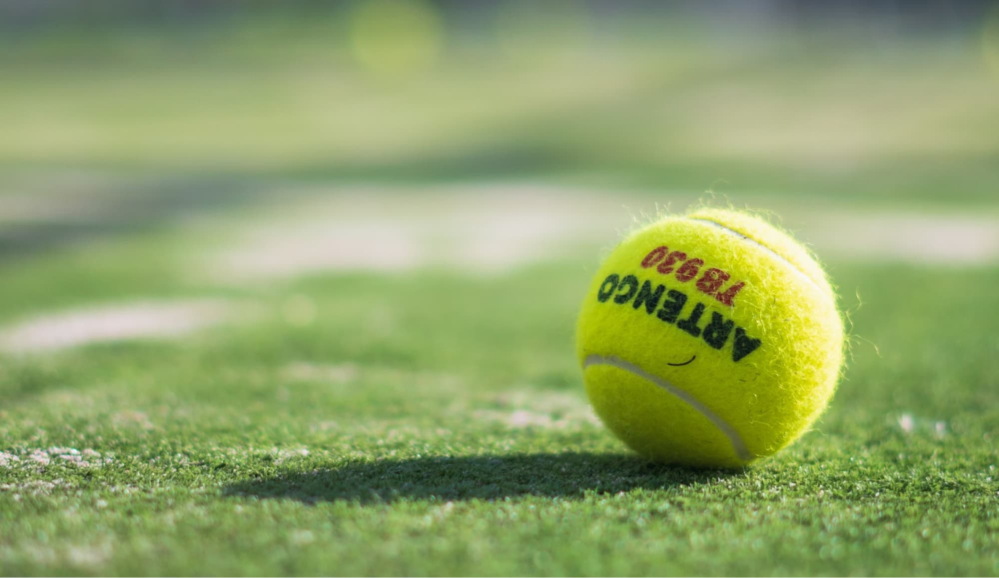 Tennis ball